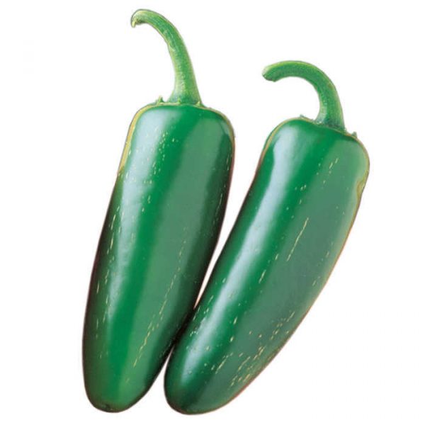 Jalapeno Peppers